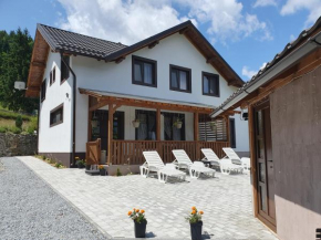 Vila Andrei, Colibița
